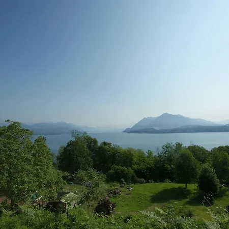 Mirtillo Stresa
