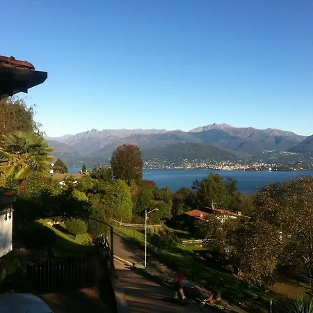Mirtillo * Stresa